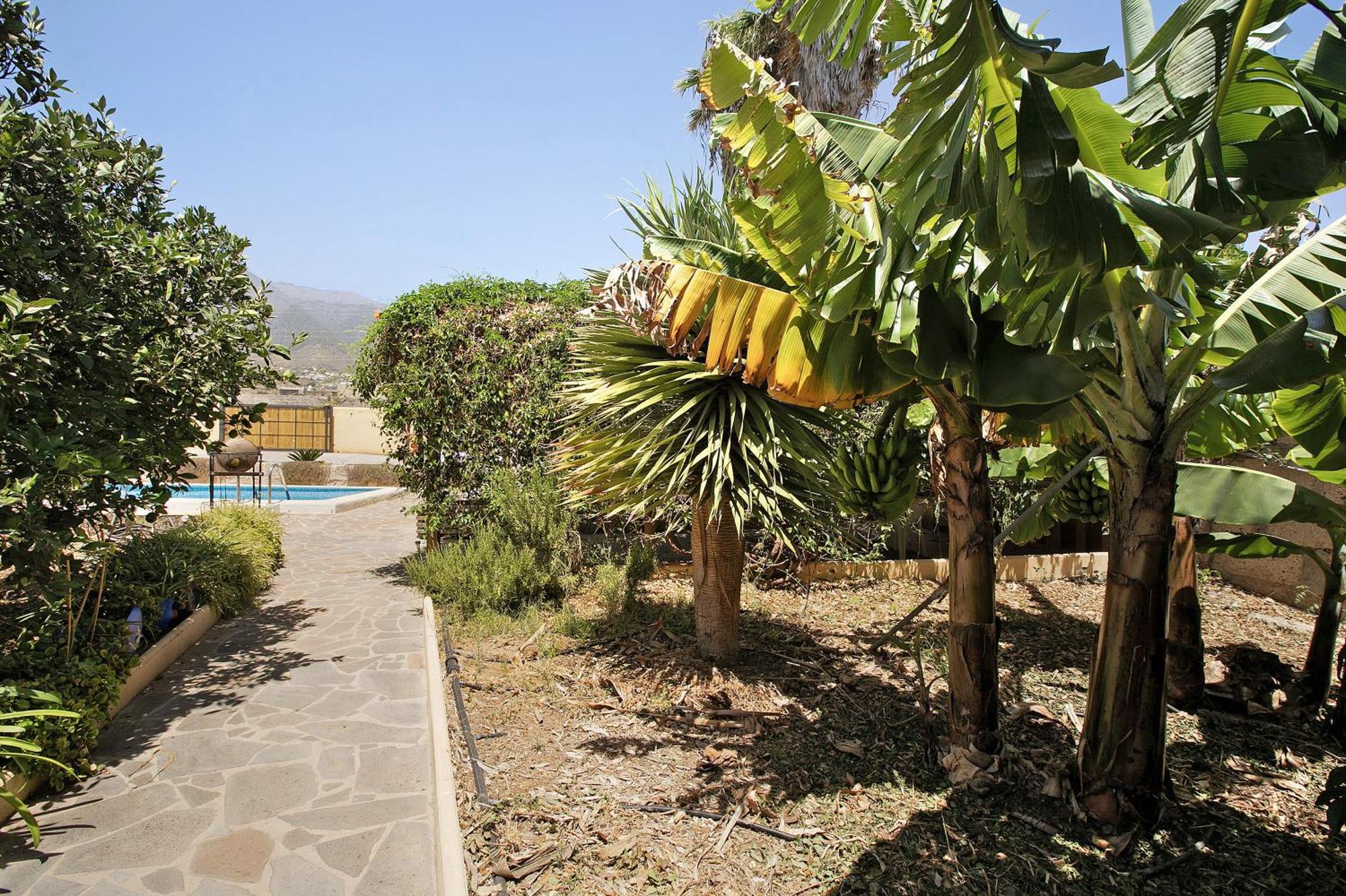 Tres Palmeras Apartment *